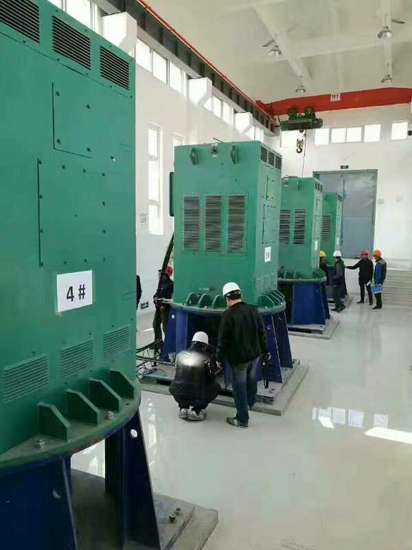 屯昌某污水处理厂使用我厂的立式高压电机安装现场